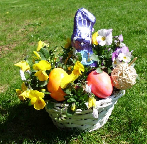 OSTERMONTAG: Ostereier suchen beim TuSpo