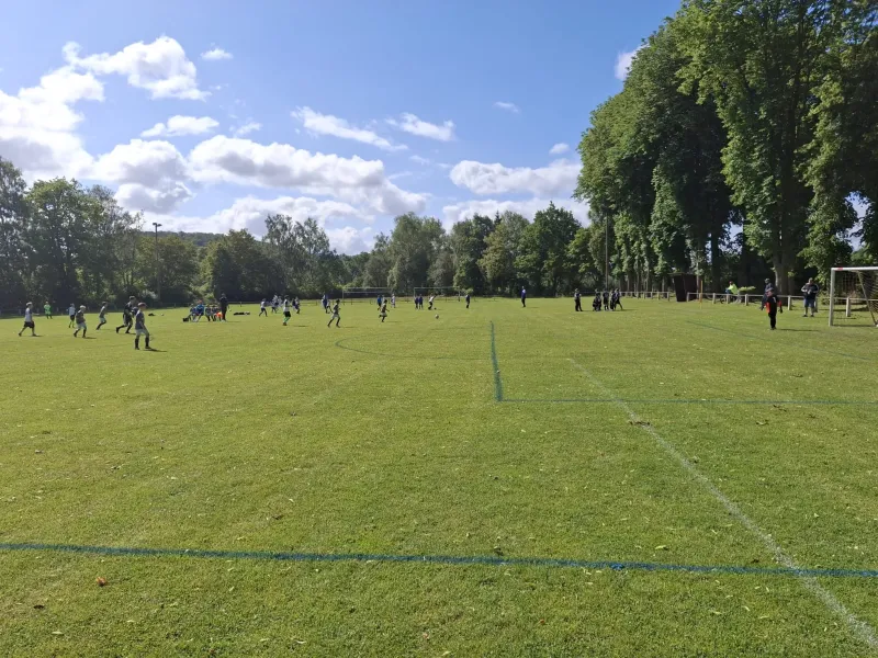E-Jugend Erfolgskurs - Nächster Halt Regionalmeisterschaft + Förderverein Cup