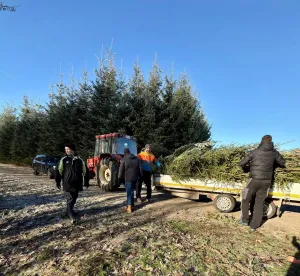 TuSpo-Team holte und verteilte Weihnachtsbäume zur Dekoration im Dorf