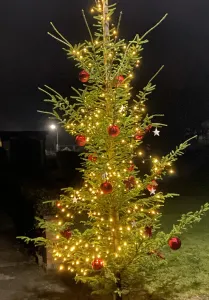 Anwohner haben verteilte Weihnachtsbäume aufgestellt, geschückt und illuminiert