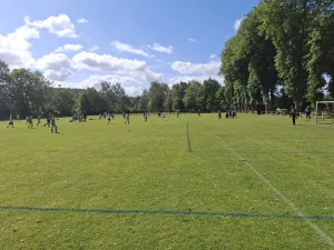 E-Jugend Erfolgskurs - Nächster Halt Regionalmeisterschaft + Förderverein Cup